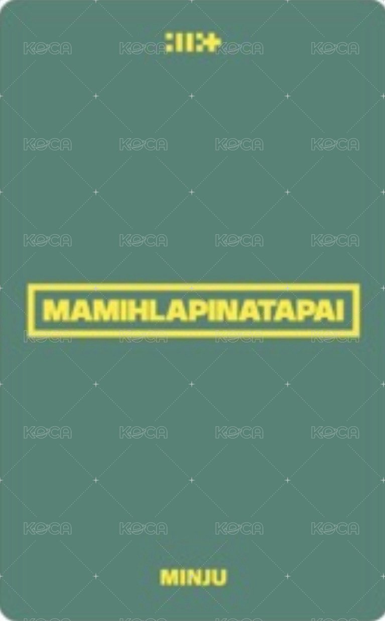 MAMIHLAPINATAPAI 日咖 預售 特典卡 PAW PAW ver. 背面