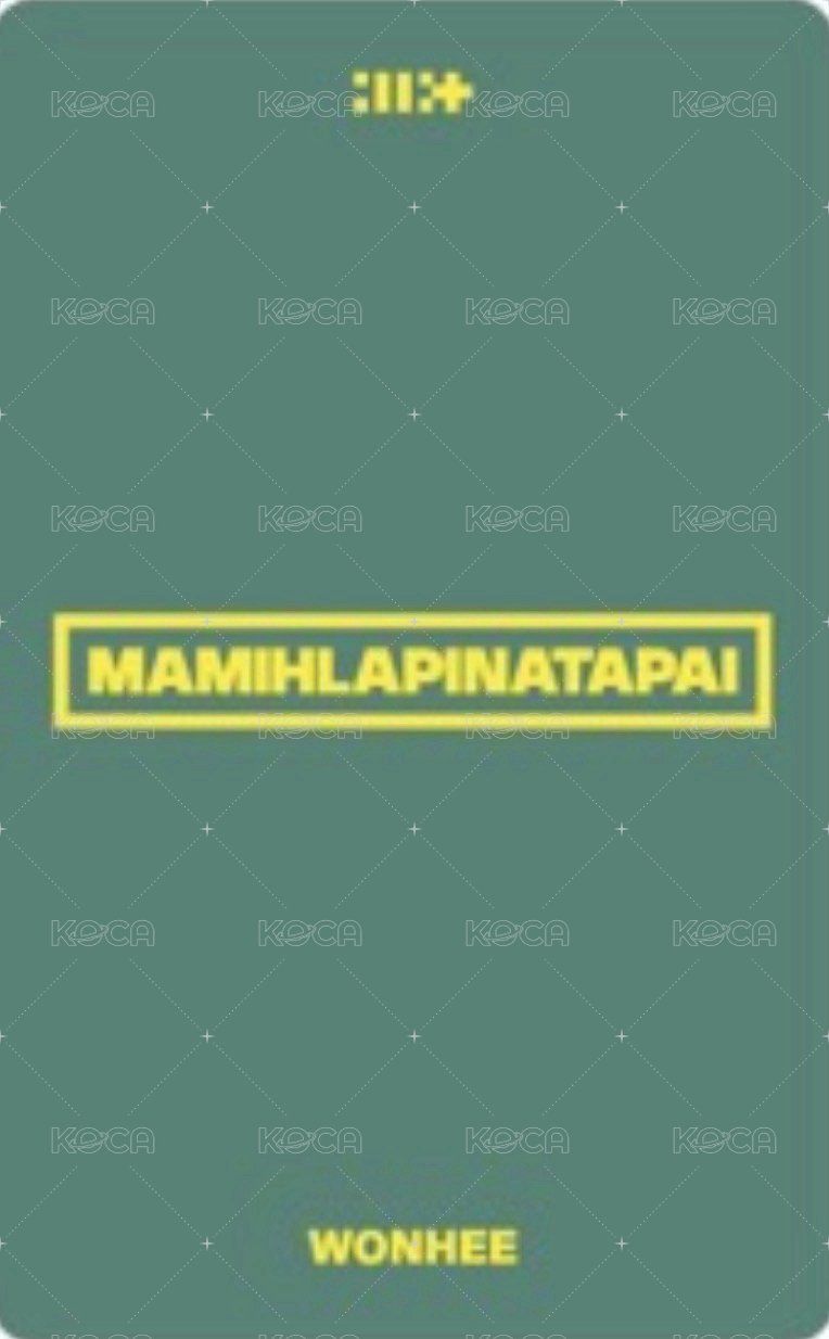 MAMIHLAPINATAPAI 日咖 預售 特典卡 PAW PAW ver. 背面