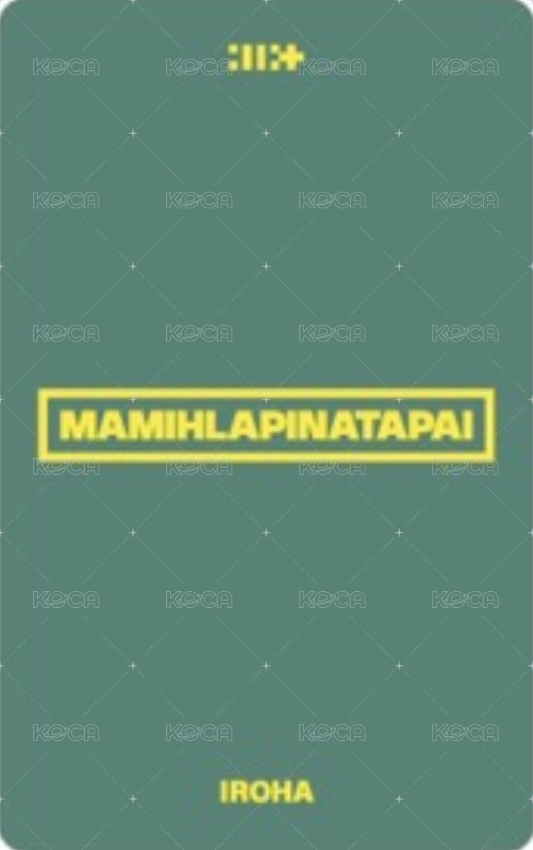 MAMIHLAPINATAPAI 日咖 預售 特典卡 PAW PAW ver. 背面