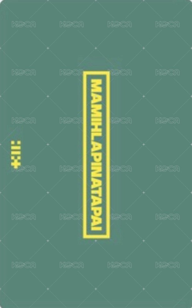 MAMIHLAPINATAPAI 日咖 預售 特典卡 PAW PAW ver. 背面
