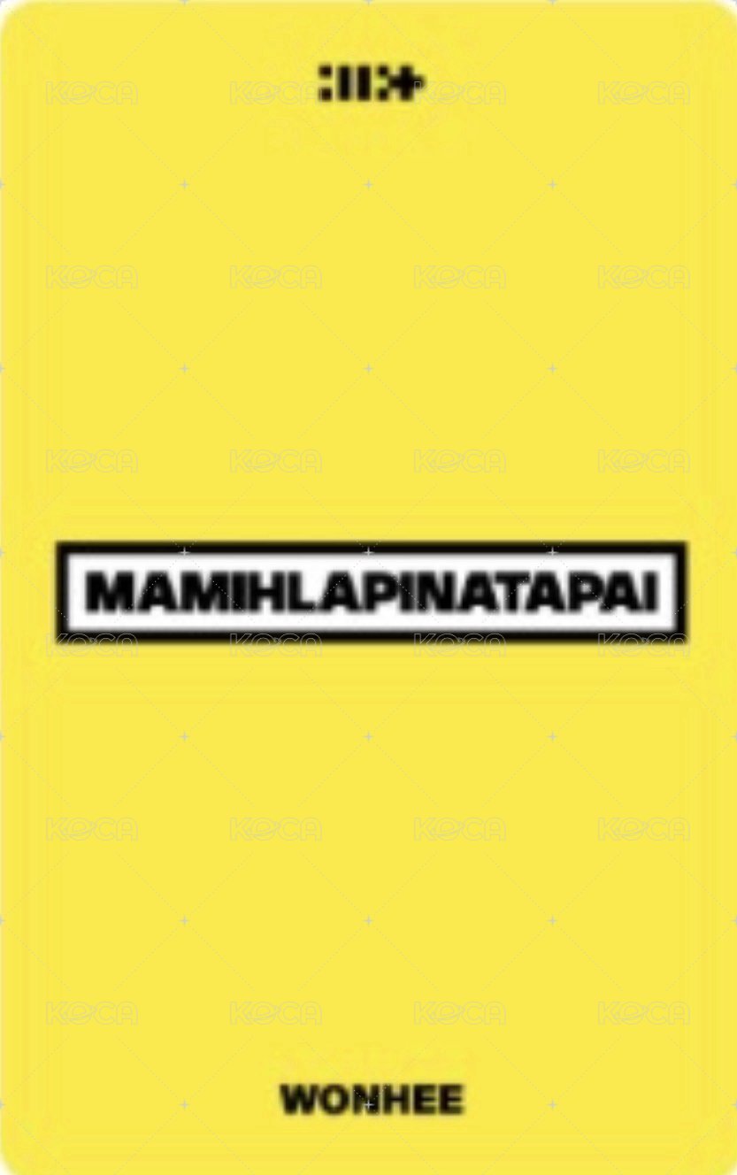 MAMIHLAPINATAPAI 日咖 預售 特典卡 PB ver. 背面