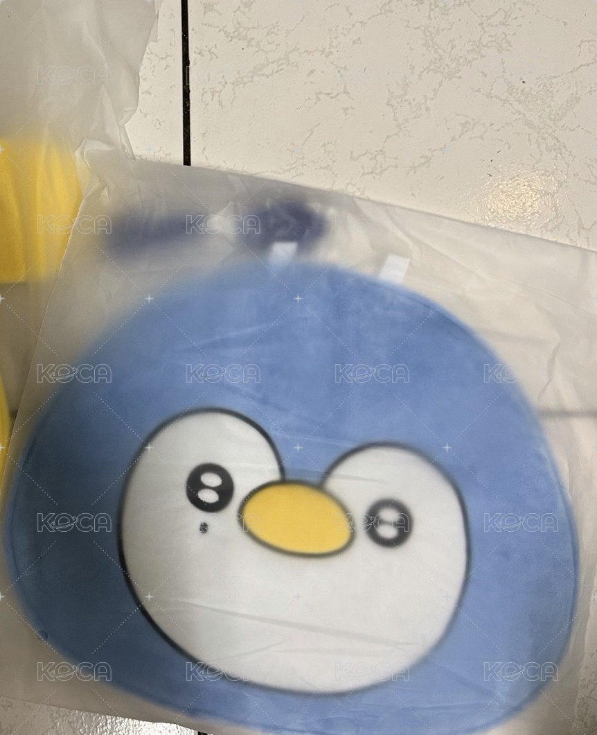 圭
