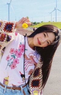 Hello 專輯卡 雛菊九