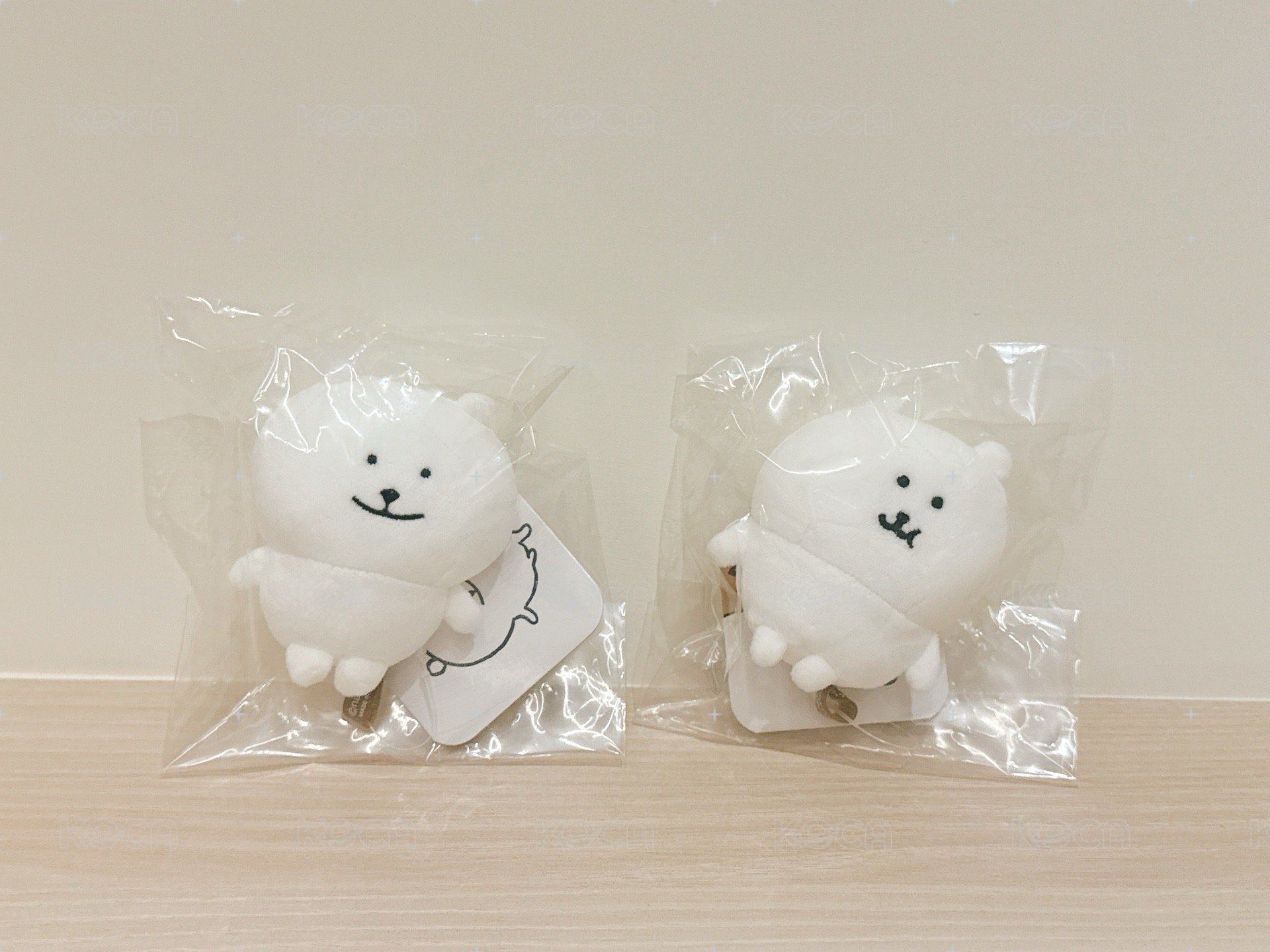 坐姿熊（細嚼+？）（如圖～）（不確定圖鑑有沒有選對）