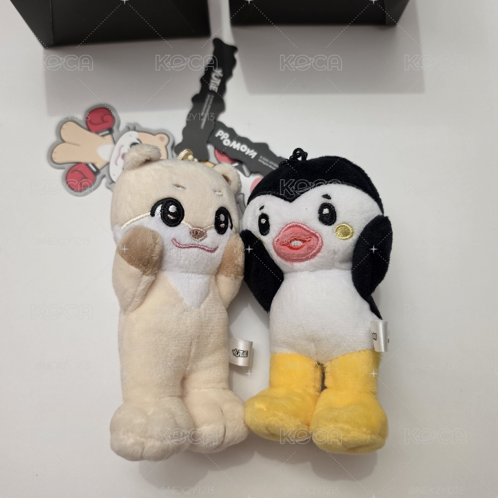 娃專🐧🦦