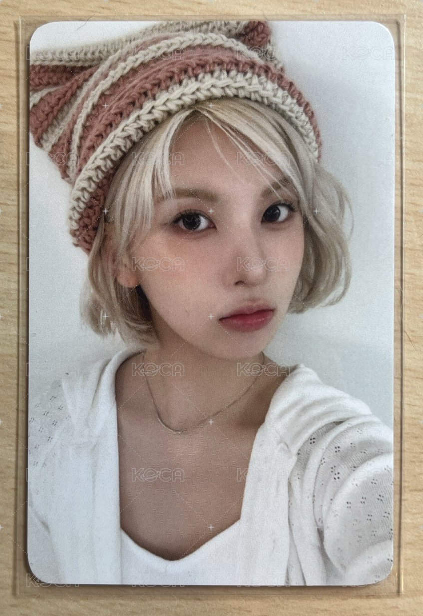 小貓帽子裴