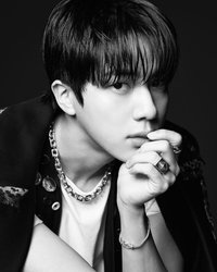 seokjinverse