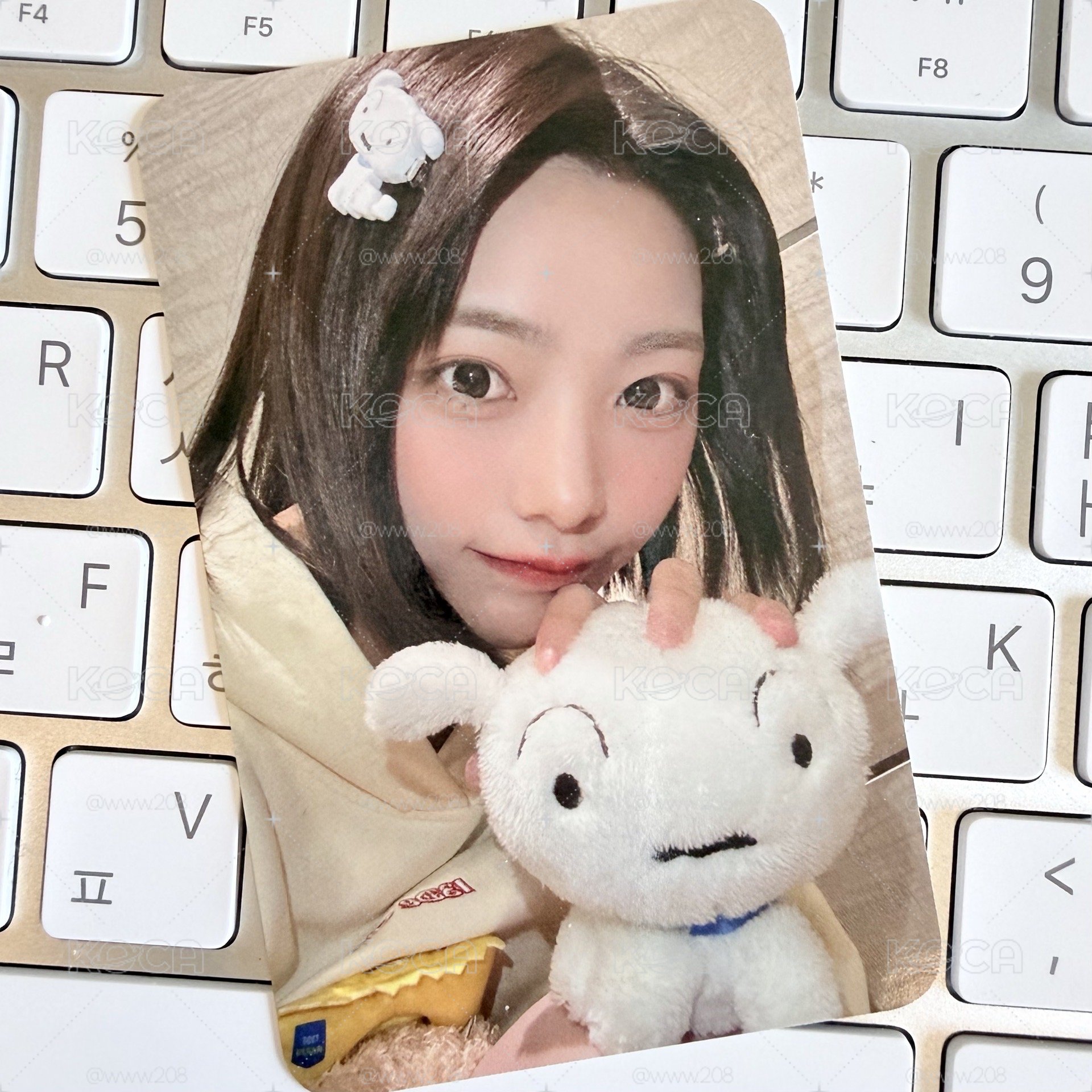QWER 小白燕 有損