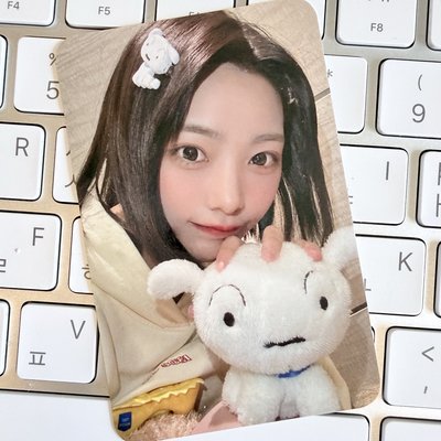 小白燕 有損