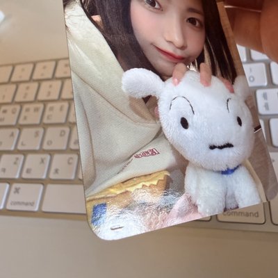 小白燕 有損