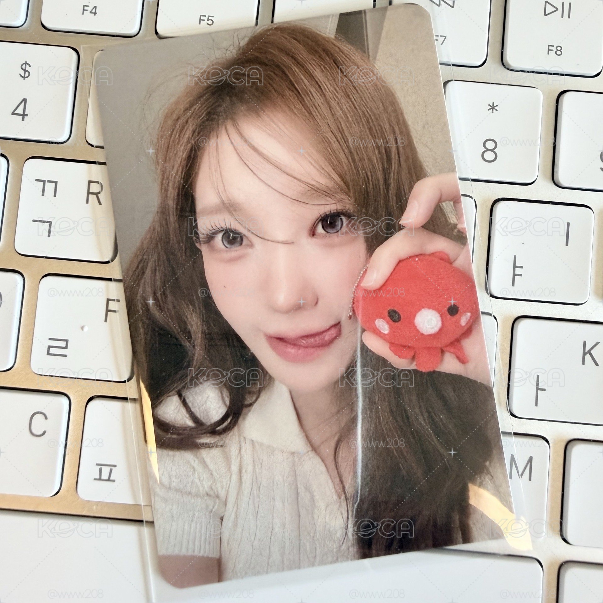 小章魚🐙塔