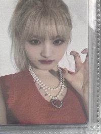 貓爪栗