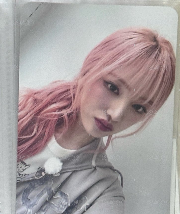 小貓栗子
