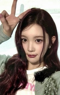 Focus sr 線下3.0 簽售卡 上海