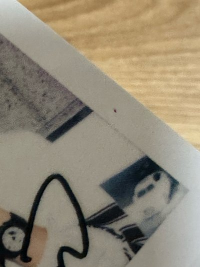 0308拍立得