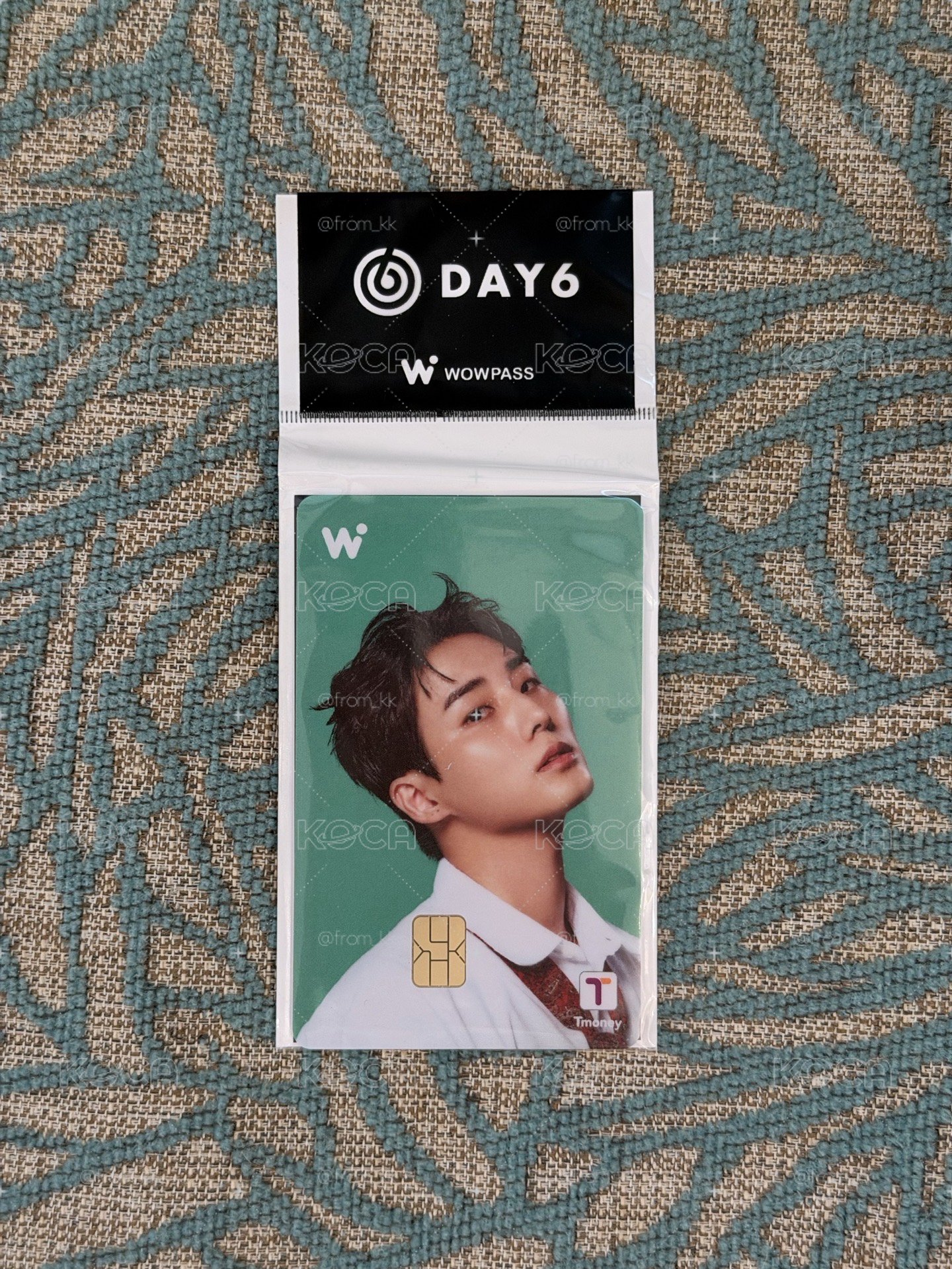 永晛 Wowpass卡🦊*