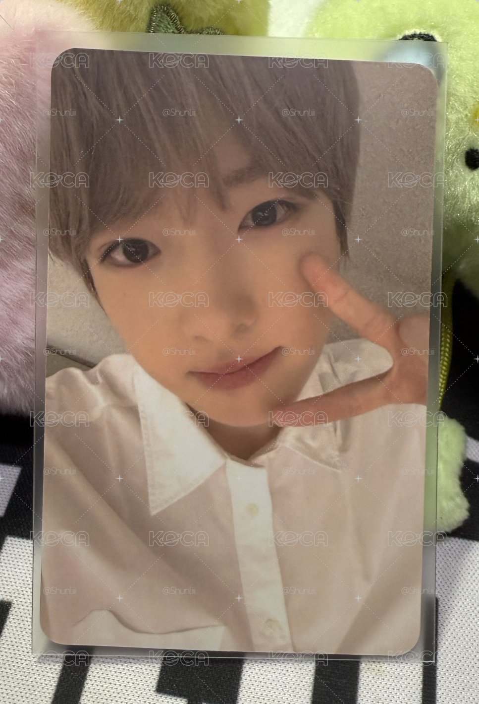 SAKUYA｜color am3.0簽售卡