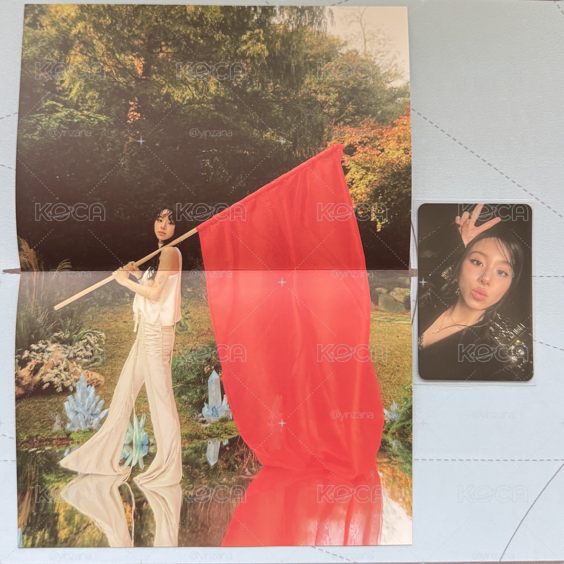 🍓公主