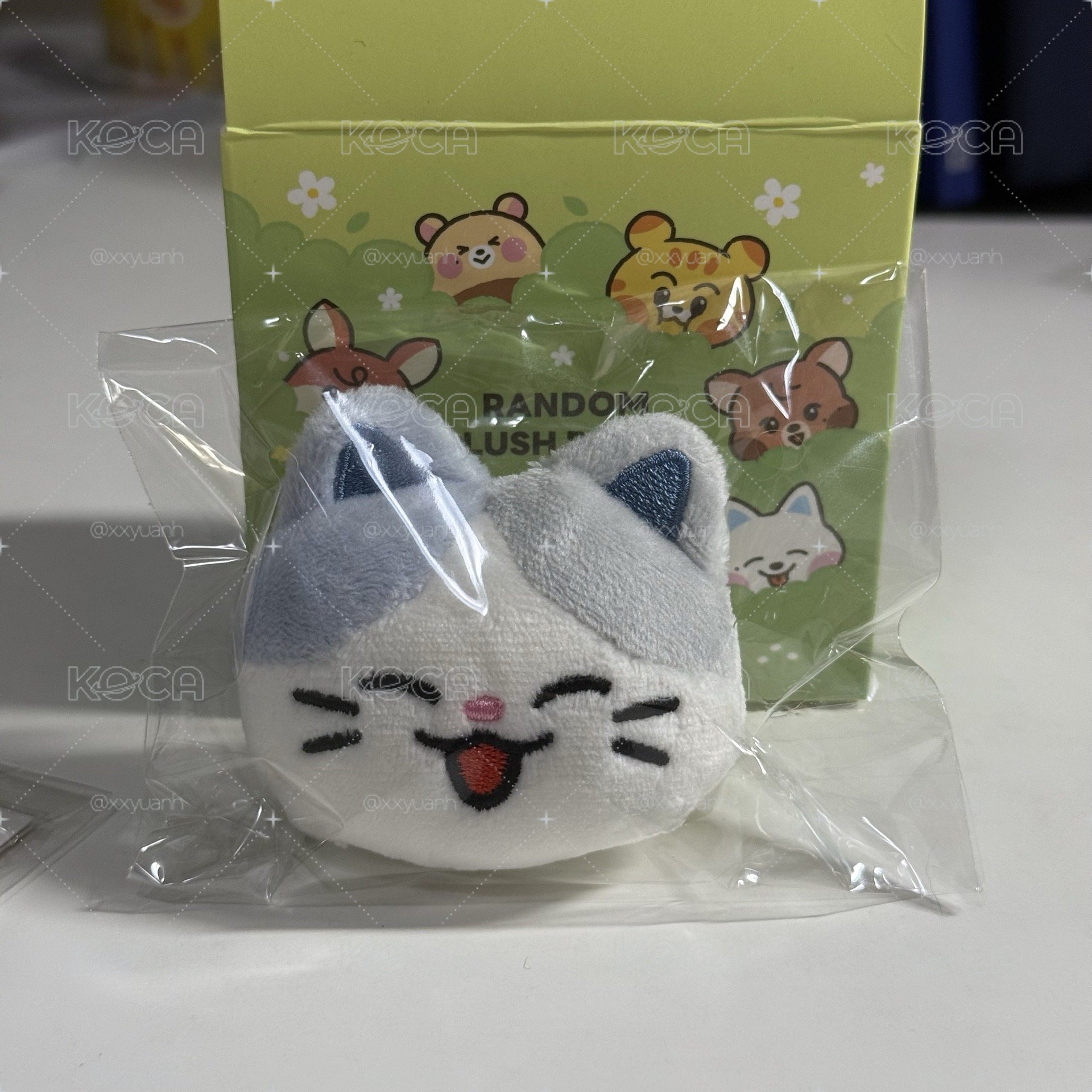 辰樂小卡/別針娃