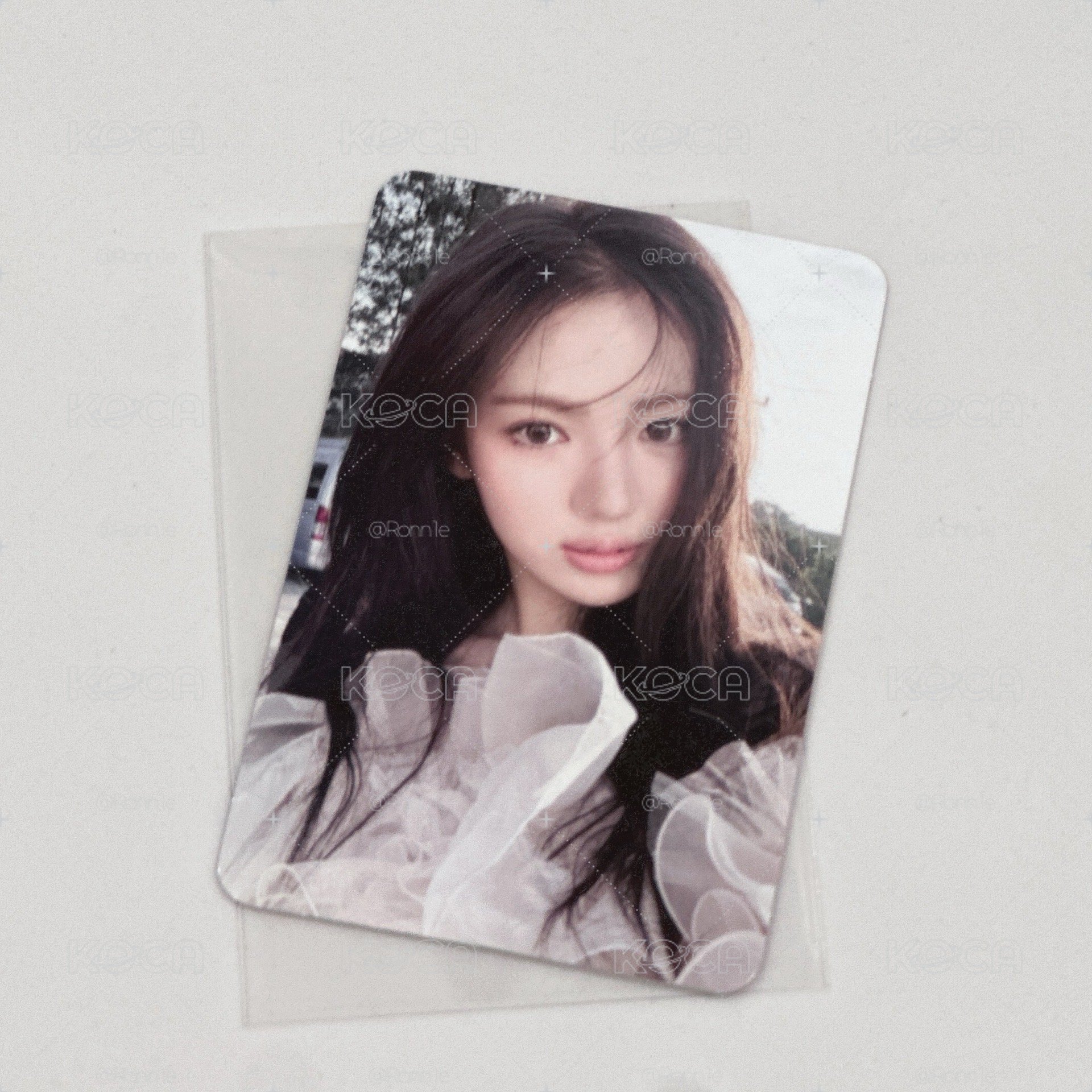 DP | sui kkt 