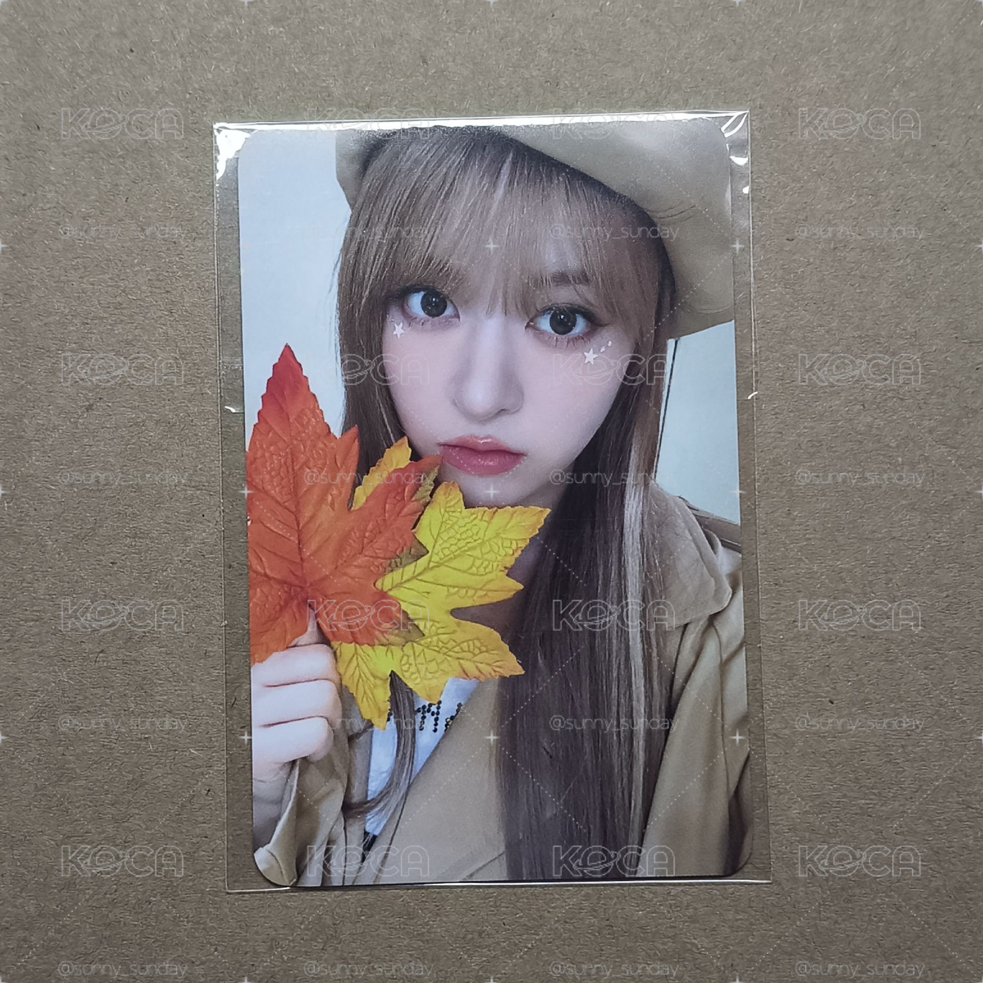 NMIXX MSLD楓葉 莉莉