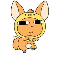 毛