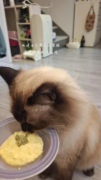 yi