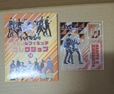 排球少年走立