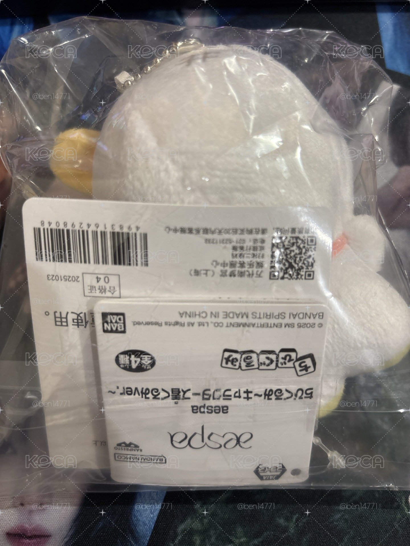 冬娃