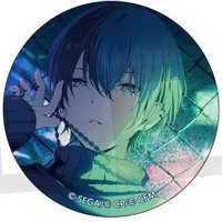 細閃 vol.40 A 徽章 wl花後