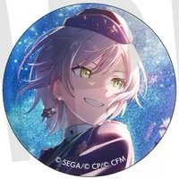 細閃 vol.40 A 徽章 軒轅十四花後