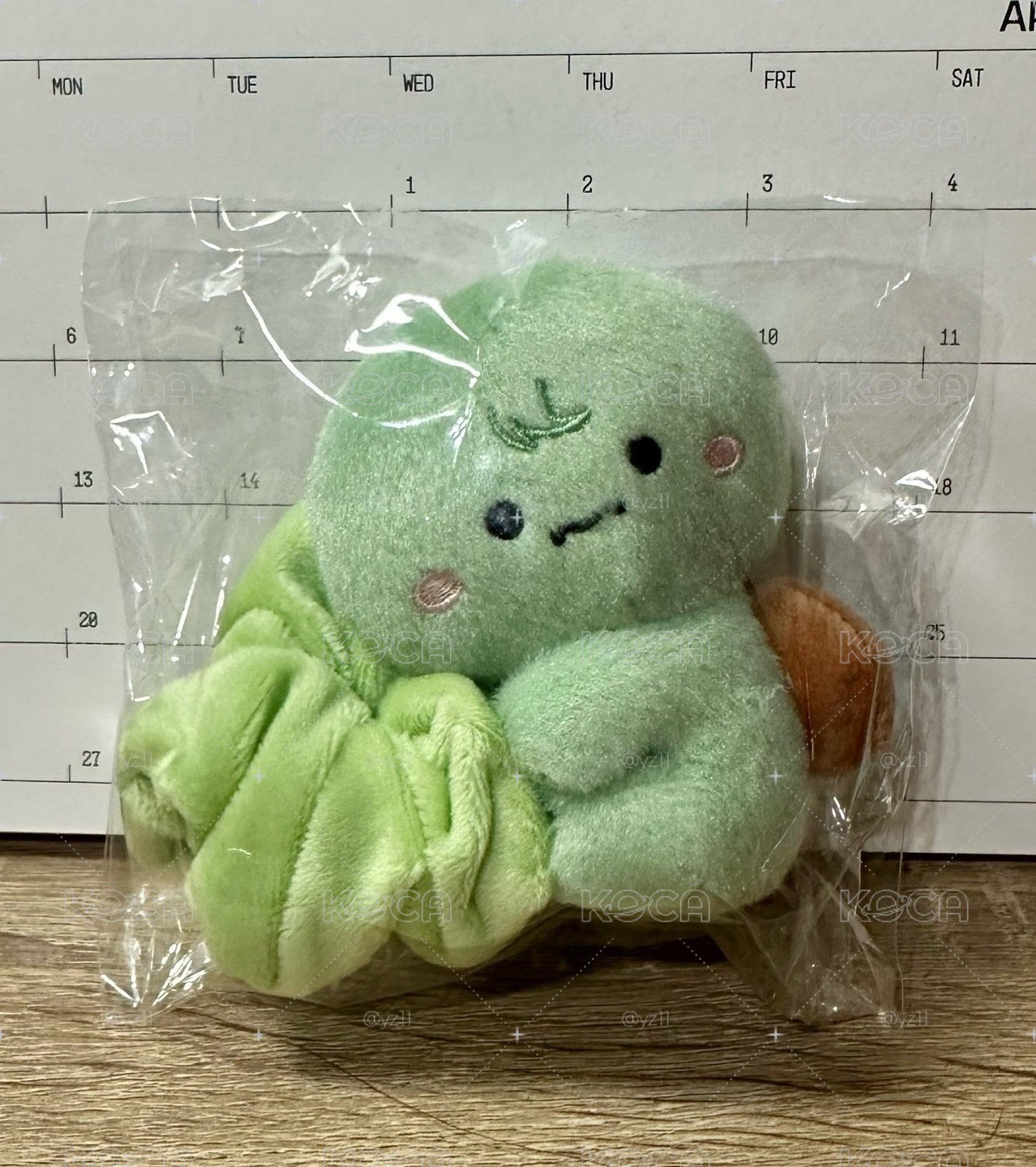 MONSTA X 蔡亨源 채부기髮圈🐸需綁卡