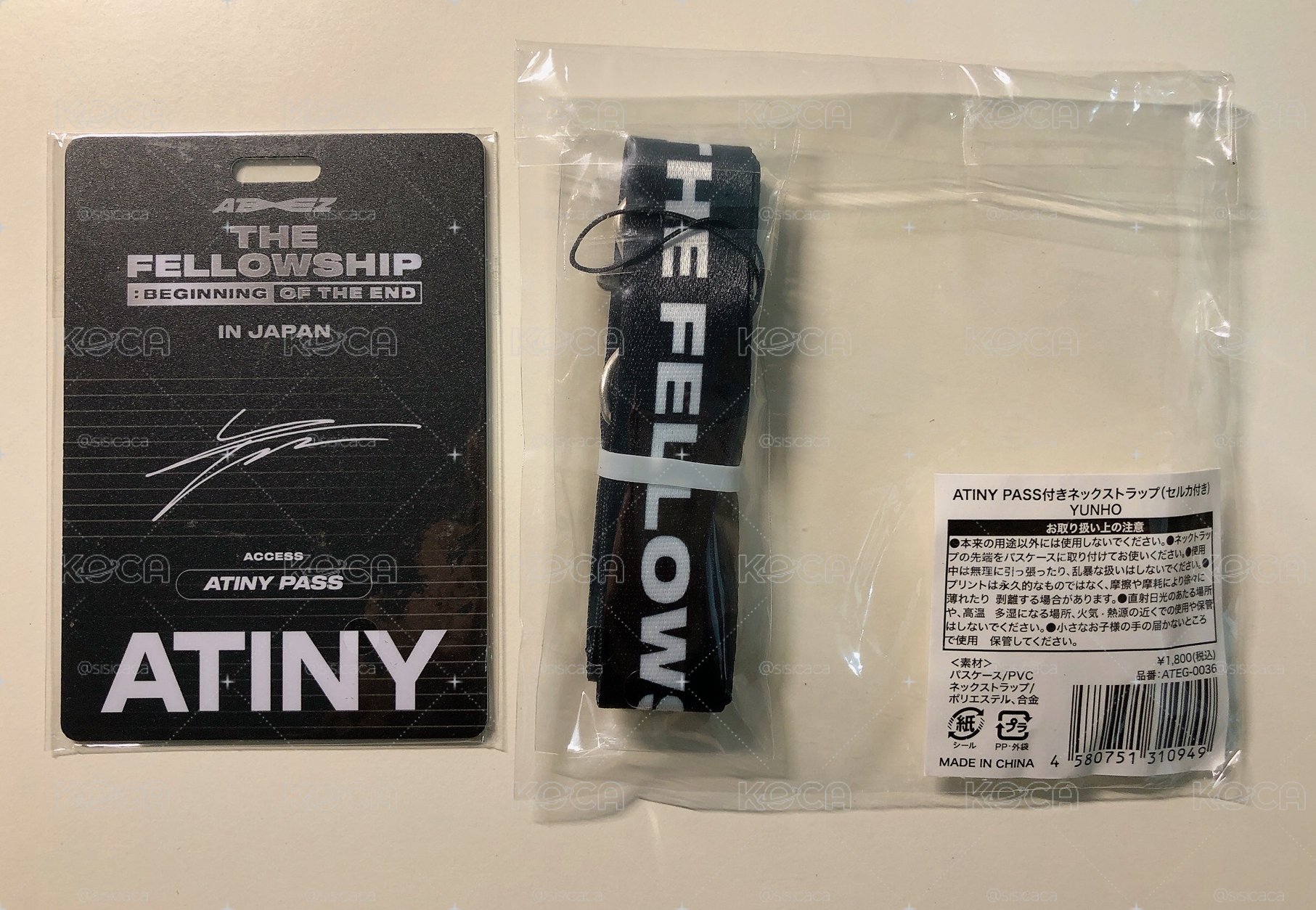 丁潤浩 崔鍾浩 Beginning of the End JP ATINY Pass