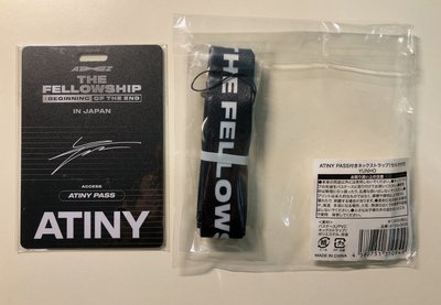 丁潤浩 崔鍾浩 Beginning of the End JP ATINY Pass