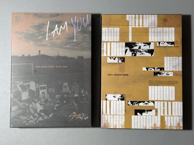 Straykids i am you yellow wood台壓空專