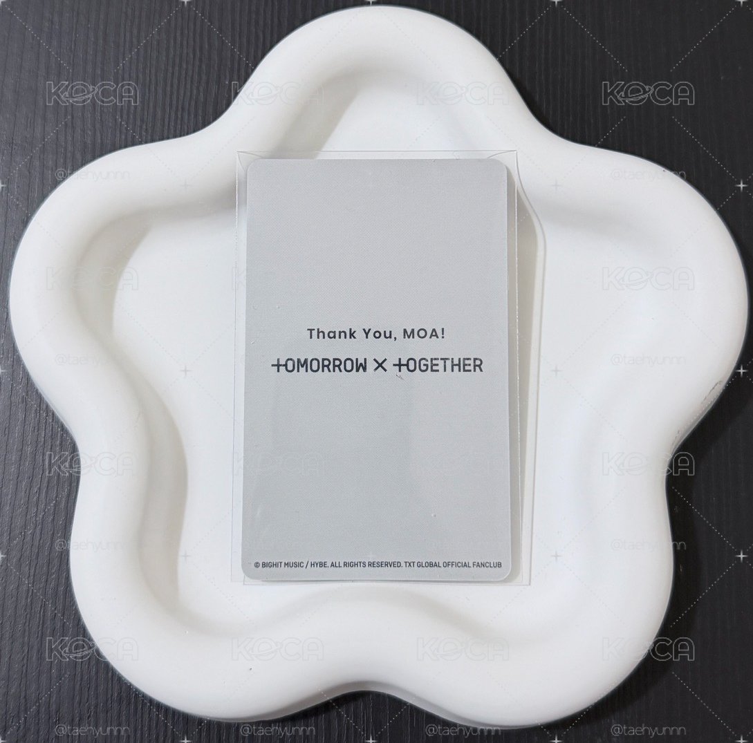 新入會顯🐿️🐱