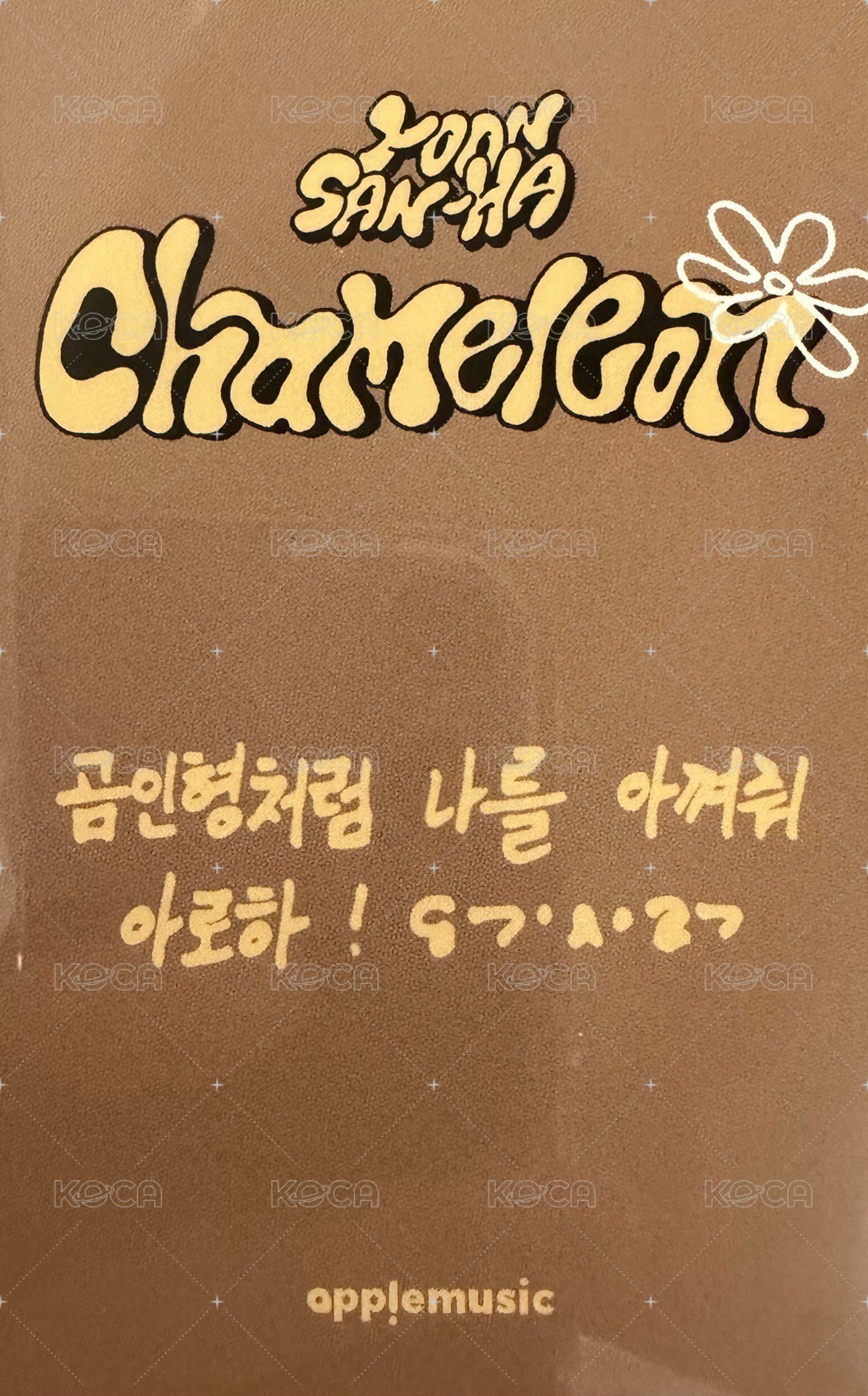 Chameleon am fs 2.0 特典卡  背面