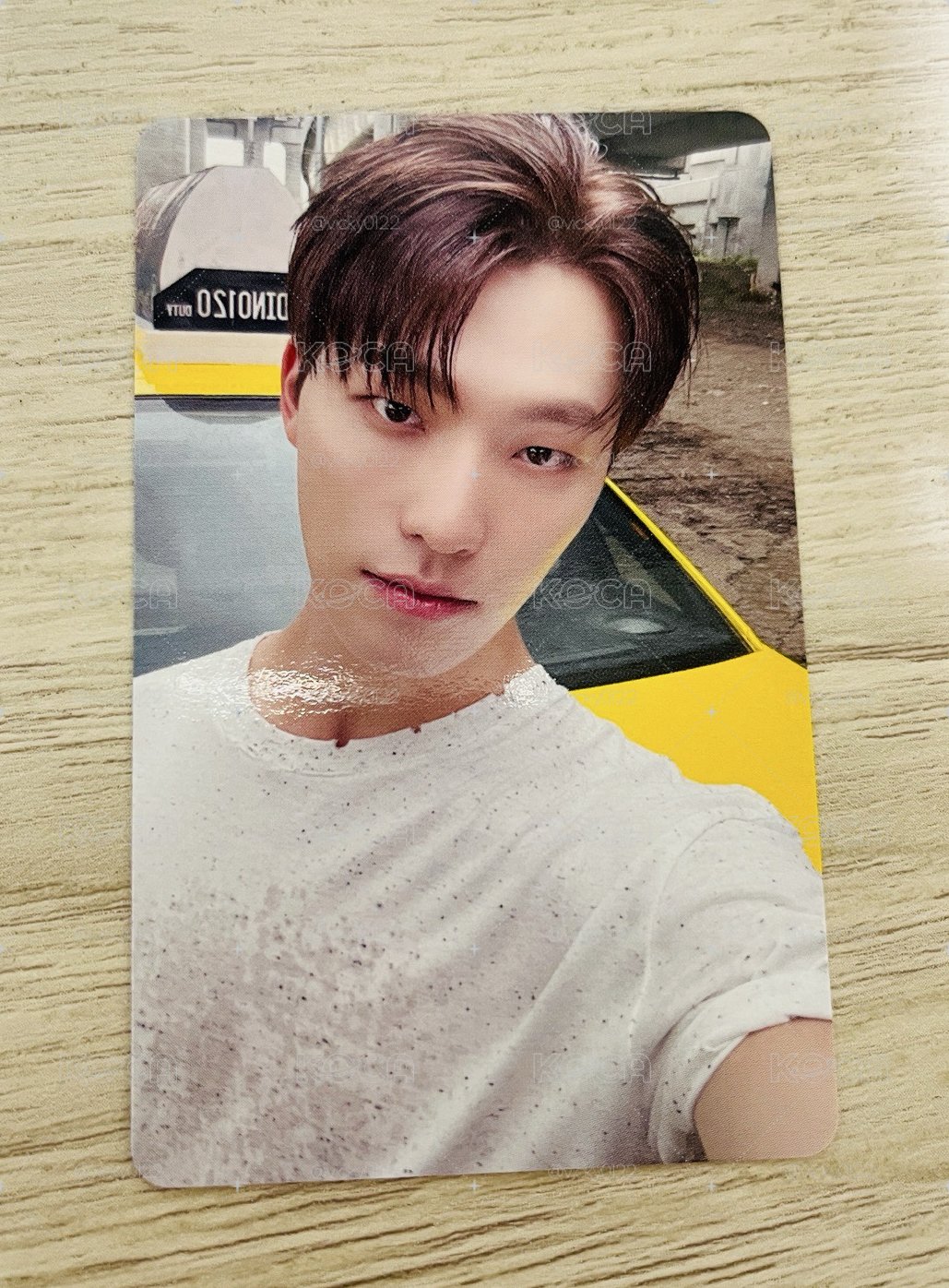 SEVENTEEN 迷十二 愛知場限 Dino🩵