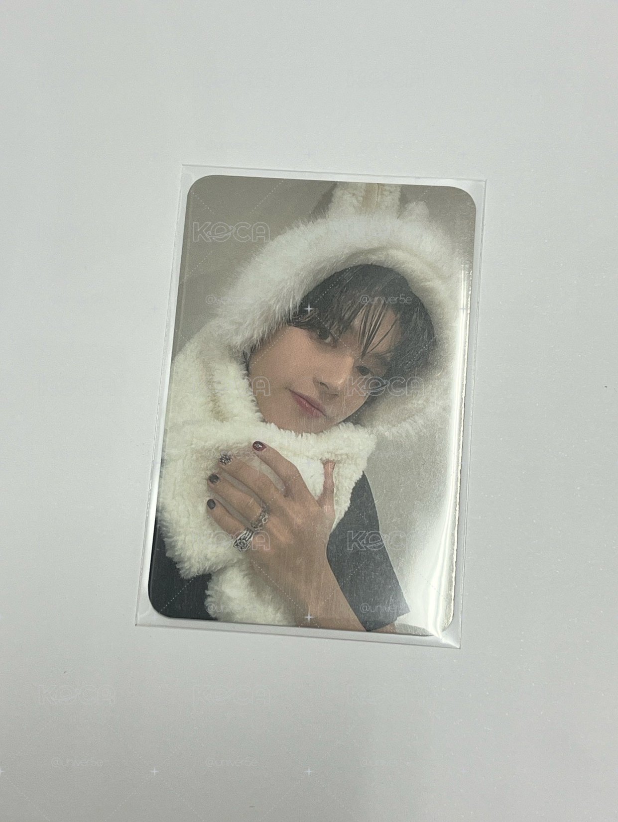 兔子榮🐰