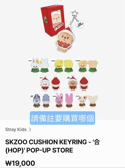 Stray Kids 官網 FANS 再販售商品 代購