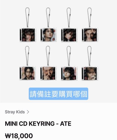 Stray Kids 官網 FANS 再販售商品 代購
