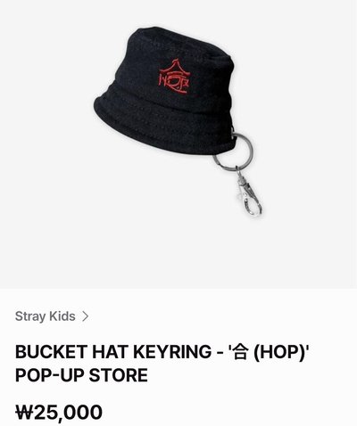 Stray Kids 官網 FANS 再販售商品 代購