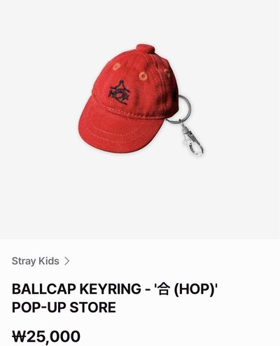 Stray Kids 官網 FANS 再販售商品 代購