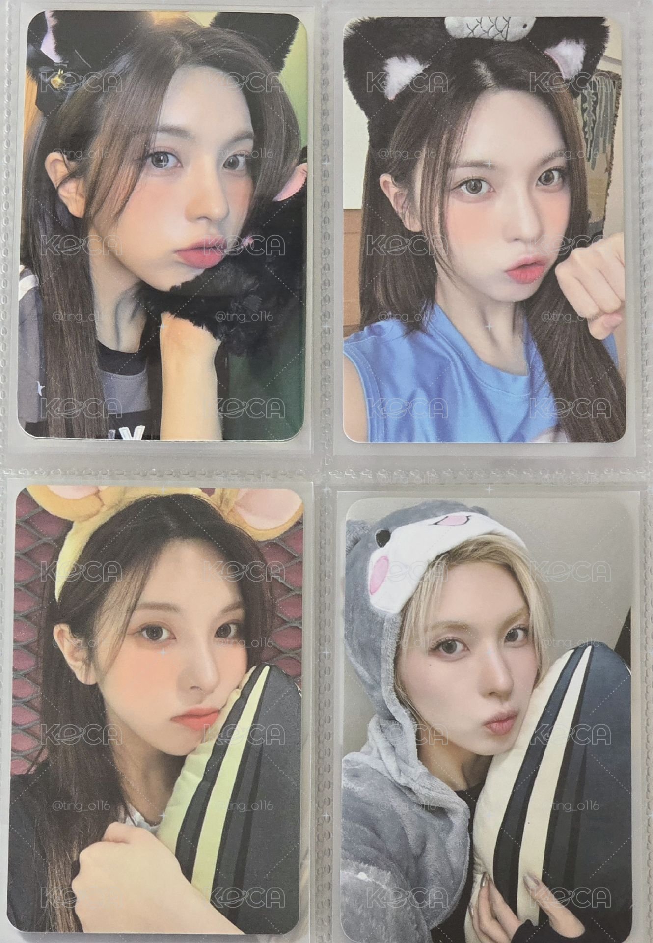 裴貓貓抓裴老鼠 黑貓裴