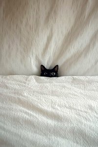咕咕嘎嘎