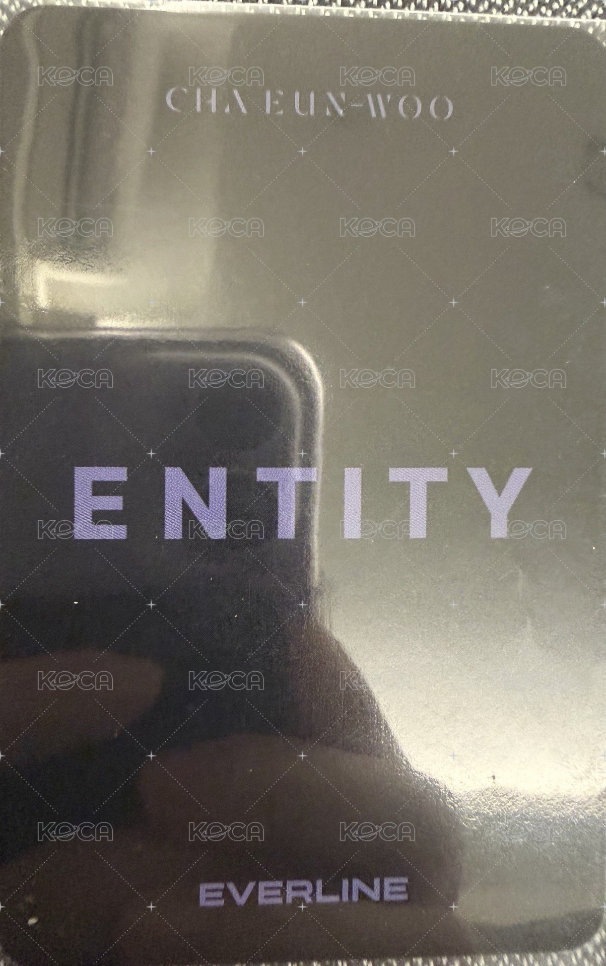 ENTITY el 特典卡  背面