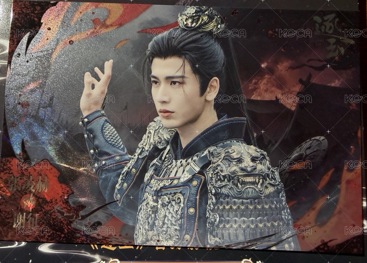 將軍款