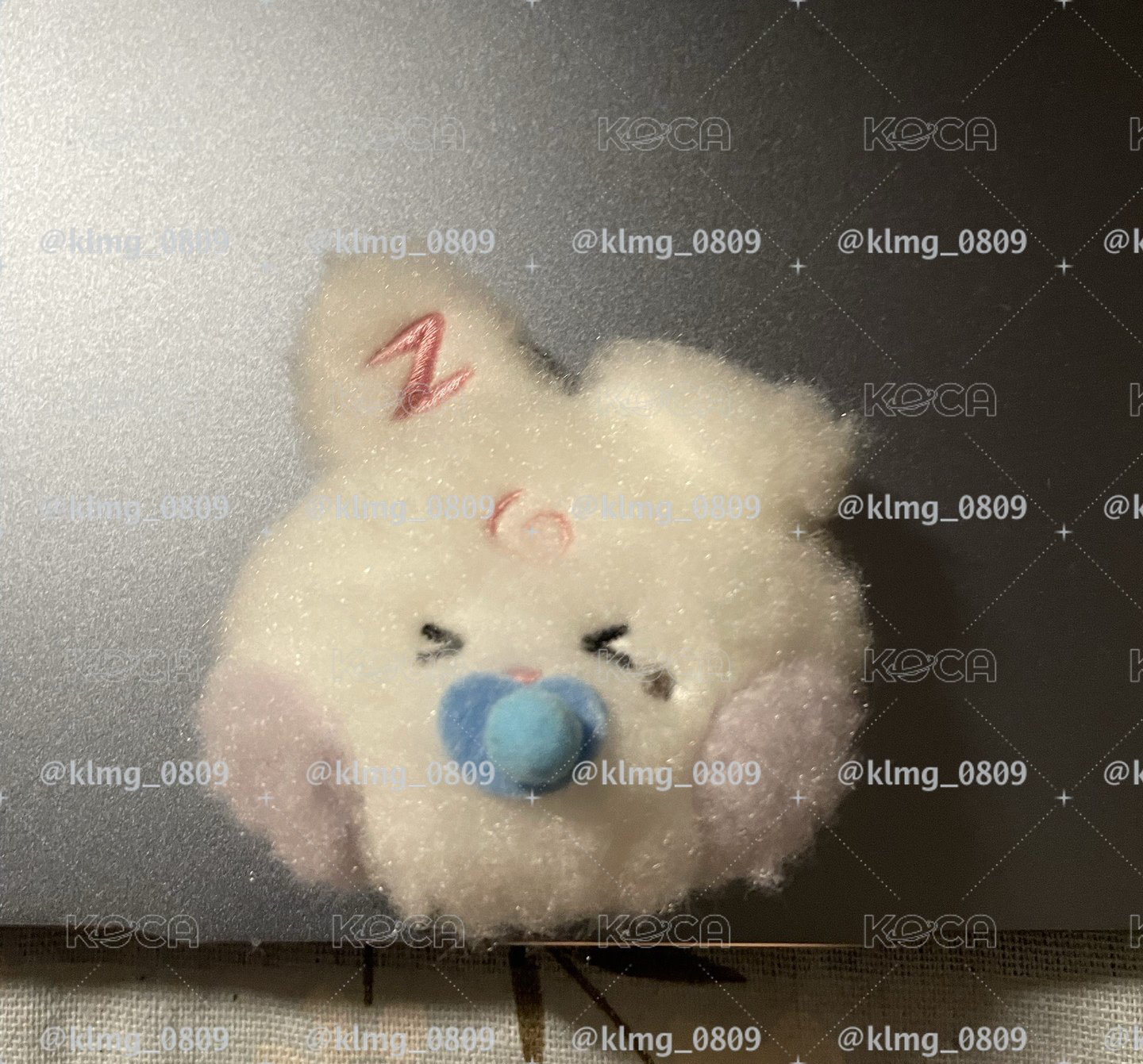 zeroni FW 徽章 辰