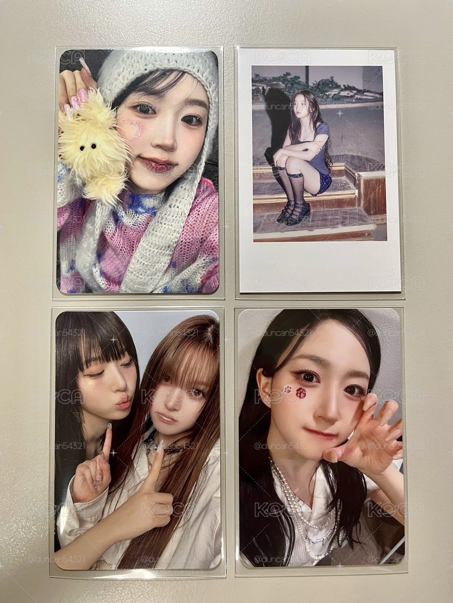 莉嫄小卡盤 🐻‍❄️🐨