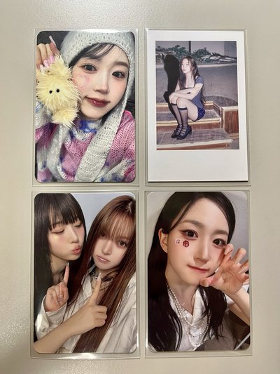 莉嫄小卡盤 🐻‍❄️🐨